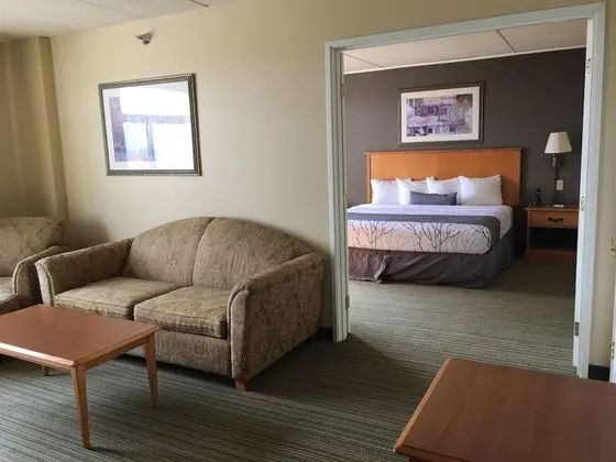 Süit, 1 En Büyük (King) Boy Yatak, Sigara İçilmez (1 Bedroom)