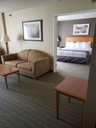 Süit, 1 En Büyük (King) Boy Yatak, Sigara İçilmez (1 Bedroom)