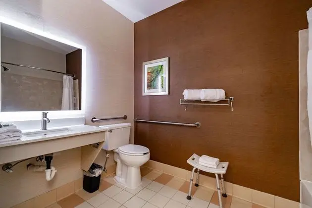 Oda, 1 En Büyük (King) Boy Yatak, Engellilere Uygun, Sigara İçilmez (Mobility, Tub w/Grab Bars)