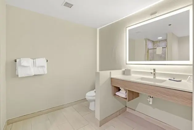 Süit, 1 En Büyük (King) Boy Yatak ve Çekyat, Engellilere Uygun (Comm, Accessible Tub)