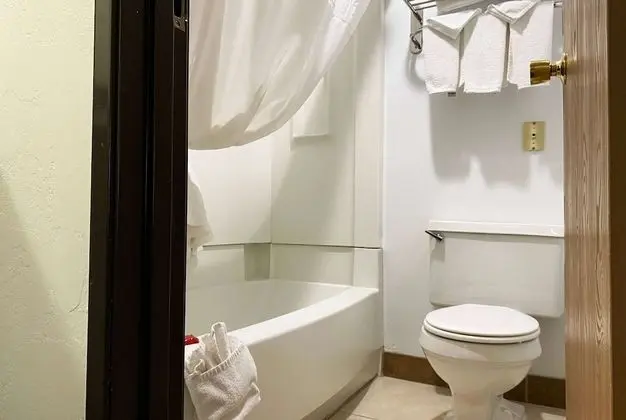 Oda, 1 Büyük (Queen) Boy Yatak, Engellilere Uygun, Sigara İçilmez (Bathtub w/ Grab Bars)
