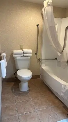 Oda, 1 Büyük (Queen) Boy Yatak, Engellilere Uygun, Sigara İçilmez (Bathtub w/ Grab Bars)