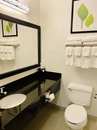 Oda, 1 Büyük (Queen) Boy Yatak, Engellilere Uygun, Sigara İçilmez (Hearing Accessible)