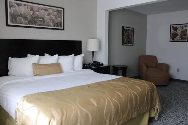 Deluxe Stüdyo Süit, 1 En Büyük (King) Boy Yatak, Sigara İçilmez