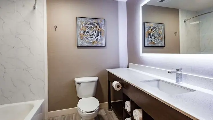 Standard Oda, 2 Büyük (Queen) Boy Yatak, Engellilere Uygun, Buzdolabı ve Mikrodalga (Pet Friendly)