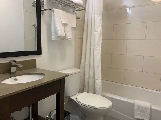 Oda, 1 Büyük (Queen) Boy Yatak, Engellilere Uygun, Sigara İçilmez (Bathtub with Grab Bars)