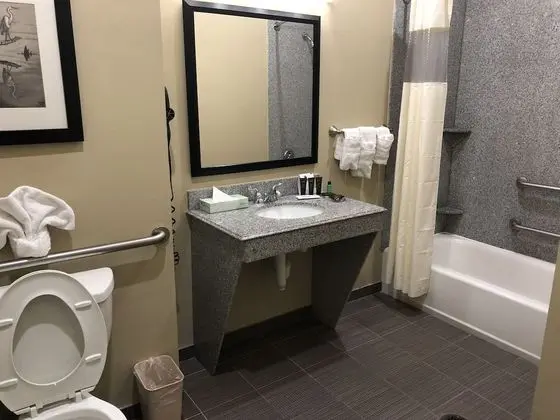 Oda, 2 Büyük (Queen) Boy Yatak, Engellilere Uygun, Sigara İçilmez (Mobility Accessible)