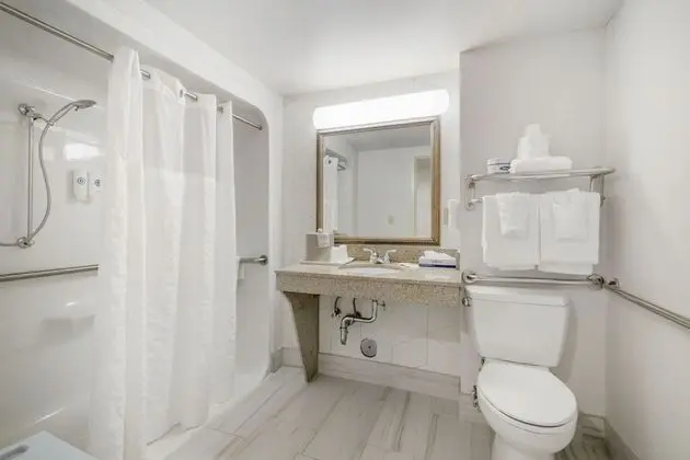 Oda, 1 En Büyük (King) Boy Yatak ve Çekyat, Engellilere Uygun, Sigara İçilmez (Roll-In Shower)