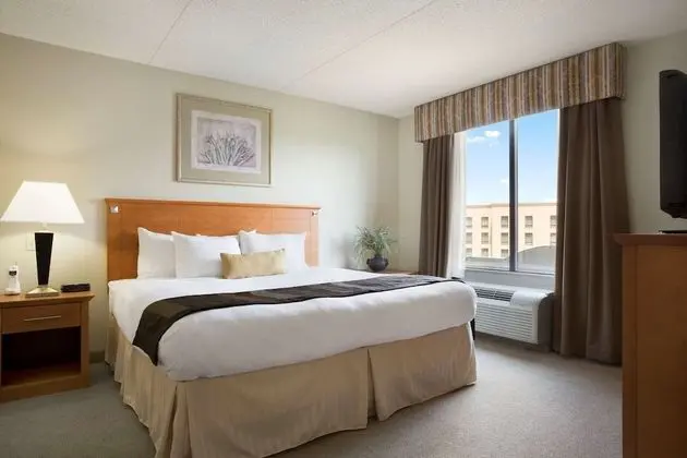 Deluxe Süit, 1 En Büyük (King) Boy Yatak, Sigara İçilmez (One-Bedroom)