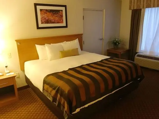 Deluxe Süit, 1 En Büyük (King) Boy Yatak, Sigara İçilmez (One-Bedroom)