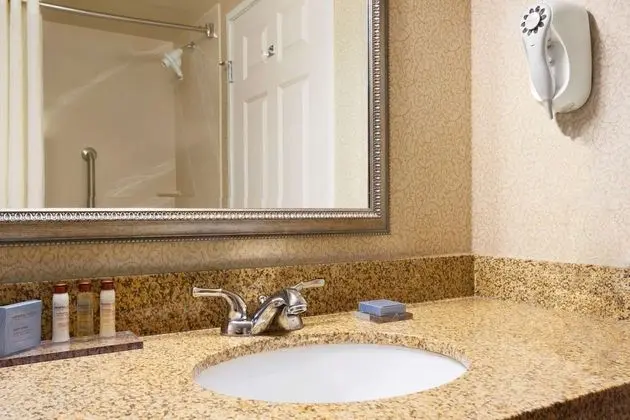 Deluxe Süit, 1 En Büyük (King) Boy Yatak, Sigara İçilmez (One-Bedroom)