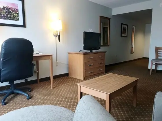 Süit, 1 En Büyük (King) Boy Yatak, Sigara İçilmez (One-Bedroom)