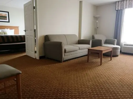 Süit, 1 En Büyük (King) Boy Yatak, Sigara İçilmez (One-Bedroom)