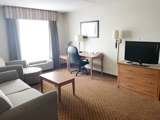 Süit, 1 En Büyük (King) Boy Yatak, Sigara İçilmez (One-Bedroom)