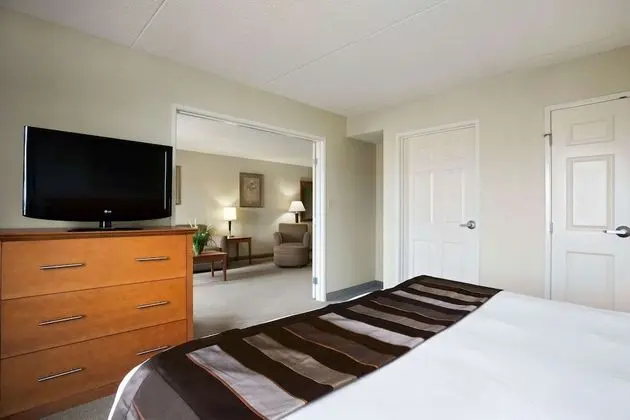 Süit, 1 En Büyük (King) Boy Yatak, Sigara İçilmez (One-Bedroom)