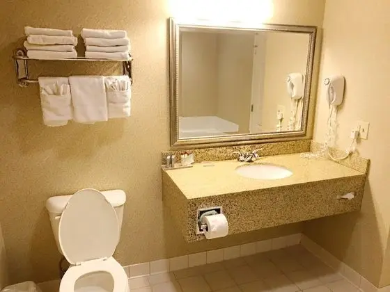 Süit, 1 En Büyük (King) Boy Yatak, Sigara İçilmez (One-Bedroom)