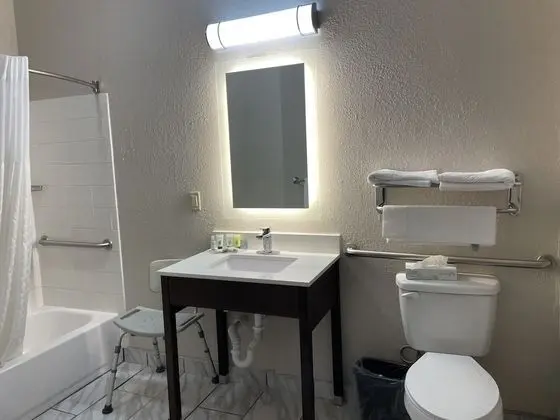 Oda, 1 En Büyük (King) Boy Yatak, Engellilere Uygun, Sigara İçilmez (Mobility Roll-In Shower)