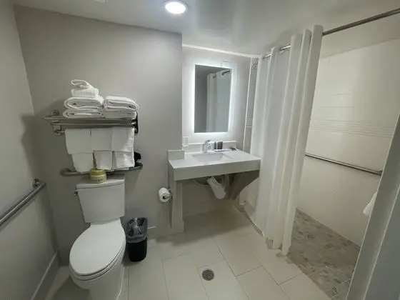 Oda, 1 En Büyük (King) Boy Yatak, Engellilere Uygun, Sigara İçilmez
