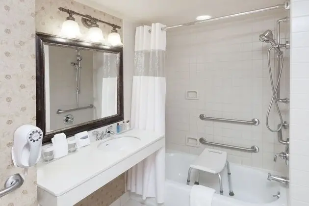 Oda, 1 En Büyük (King) Boy Yatak, Engellilere Uygun, Sigara İçilmez (Roll-In Shower)