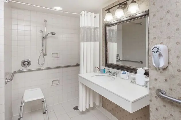 Oda, 1 En Büyük (King) Boy Yatak, Engellilere Uygun, Sigara İçilmez (Roll-In Shower)