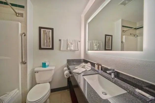 Oda, 1 En Büyük (King) Boy Yatak, Sigara İçilmez (Mobility,Hearing,Bathtub w/ Grab Bars)