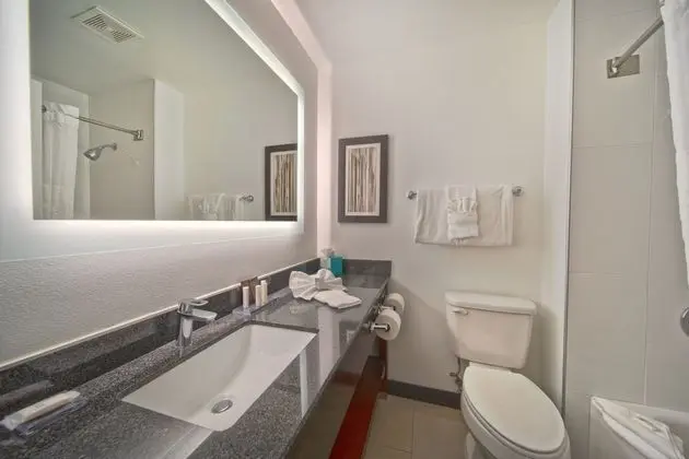 Oda, 1 En Büyük (King) Boy Yatak, Sigara İçilmez (Mobility,Hearing,Bathtub w/ Grab Bars)