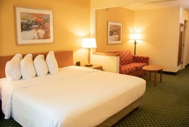 Business Oda, 1 En Büyük (King) Boy Yatak, Sigara İçilmez