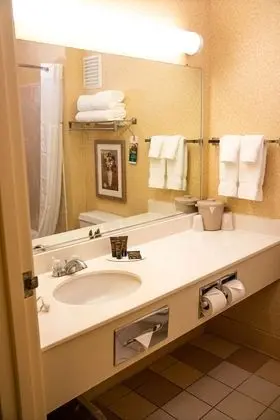 Business Oda, 1 En Büyük (King) Boy Yatak, Sigara İçilmez