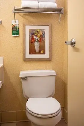 Oda, 1 En Büyük (King) Boy Yatak, Sigara İçilmez