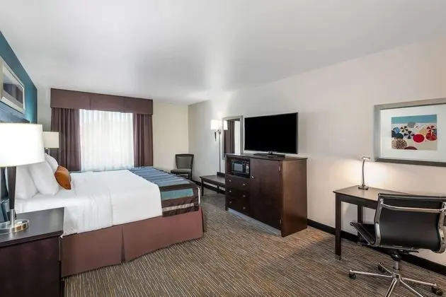 Standard Oda, 1 En Büyük (King) Boy Yatak, Sigara İçilmez, Buzdolabı ve Mikrodalga