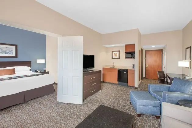 Süit, 1 En Büyük (King) Boy Yatak, Sigara İçilmez (One-Bedroom)