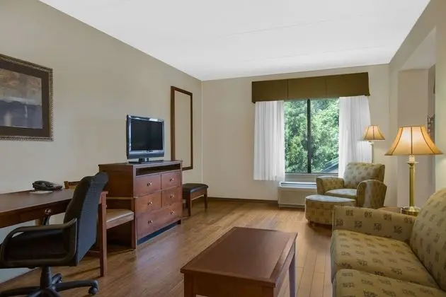 Standard Oda, 1 En Büyük (King) Boy Yatak, Sigara İçilmez (One-Bedroom Suite)