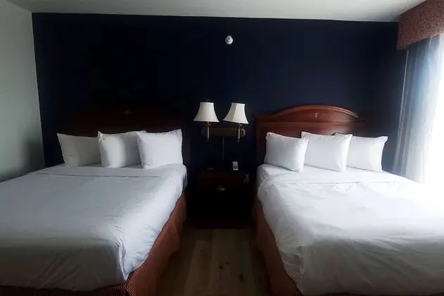 Deluxe Süit, Birden Çok Yatak, Sigara İçilmez