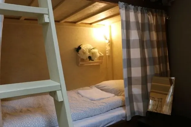 Ortak Ranzalı Oda, Sadece kadınlar için (8 Beds)