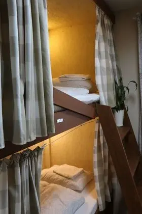 Ortak Ranzalı Oda, Sadece kadınlar için (8 Beds)