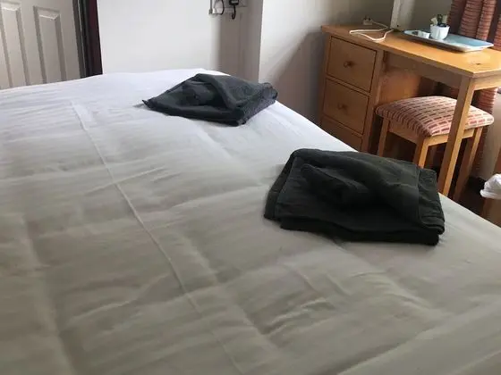 Standard Tek Büyük Yataklı Oda, 1 Büyük (Queen) Boy Yatak, Sigara İçilmez