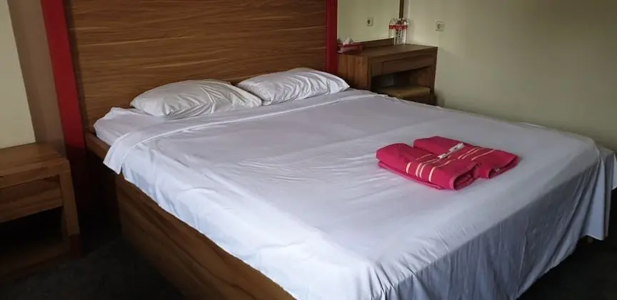 Tek Büyük Yataklı Oda (VIP)