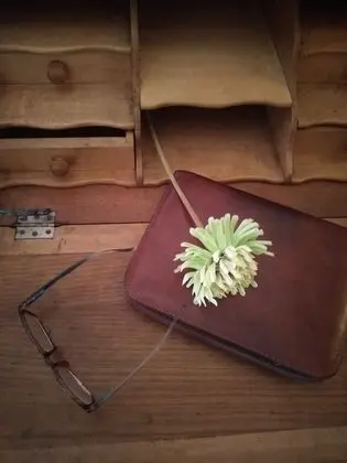 Apart Daire, 1 Yatak Odası, Veranda