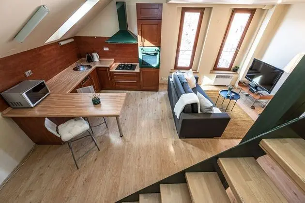 Deluxe Apart Daire, 1 Yatak Odası (Haštalská 25)