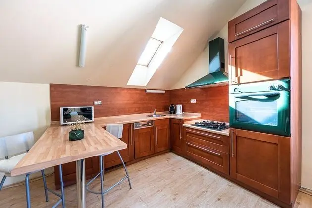 Deluxe Apart Daire, 1 Yatak Odası (Haštalská 25)