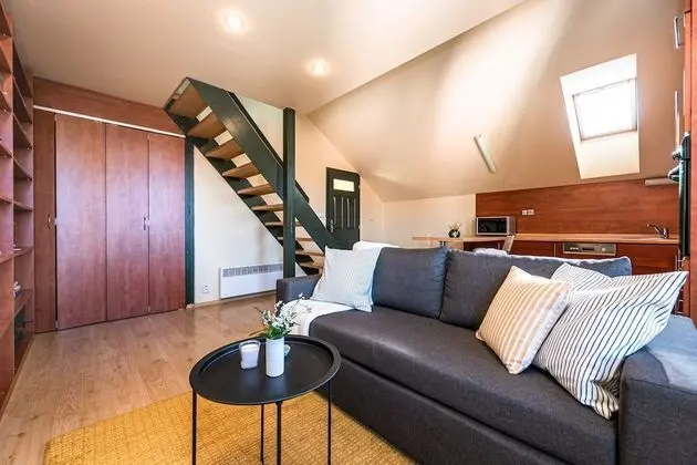 Deluxe Apart Daire, 1 Yatak Odası (Haštalská 25)