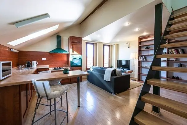 Deluxe Apart Daire, 1 Yatak Odası (Haštalská 25)