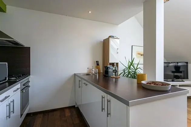 Deluxe Çatı Katı (Loft), 1 Yatak Odası (Bílkova 18)
