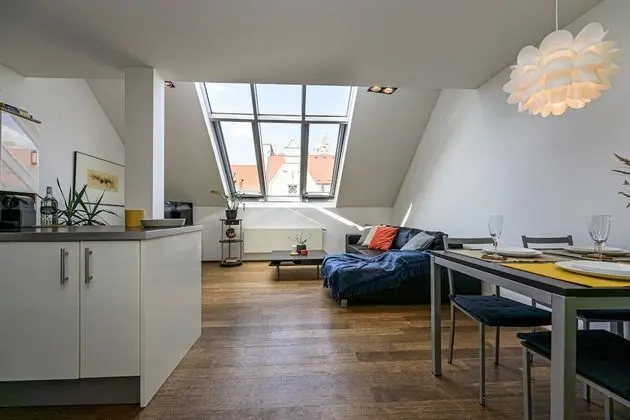 Deluxe Çatı Katı (Loft), 1 Yatak Odası (Bílkova 18)