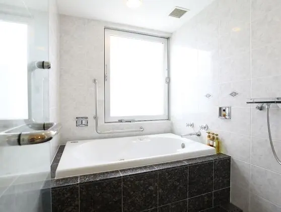 Deluxe İki Ayrı Yataklı Oda, Sigara İçilmez