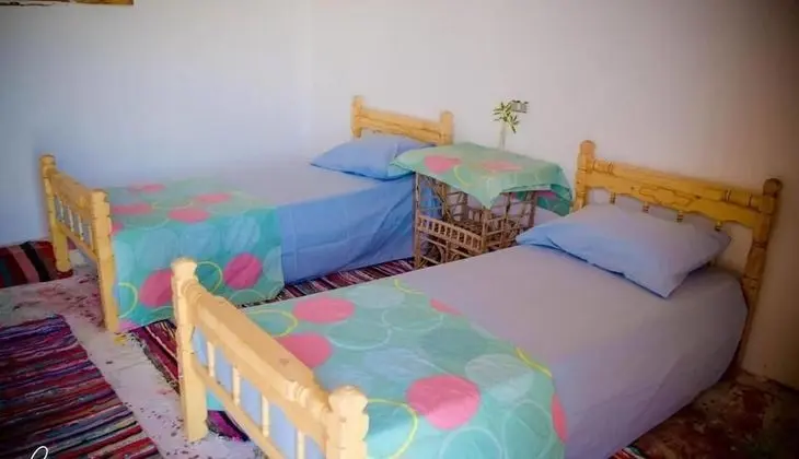 Basic Çadır