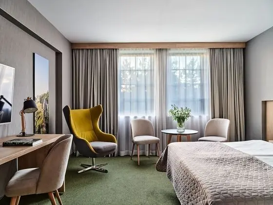 Deluxe Tek Büyük Yataklı Oda