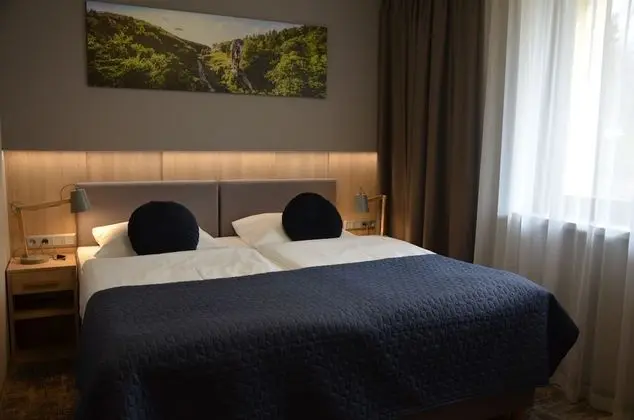 Superior Tek Büyük Yataklı Oda