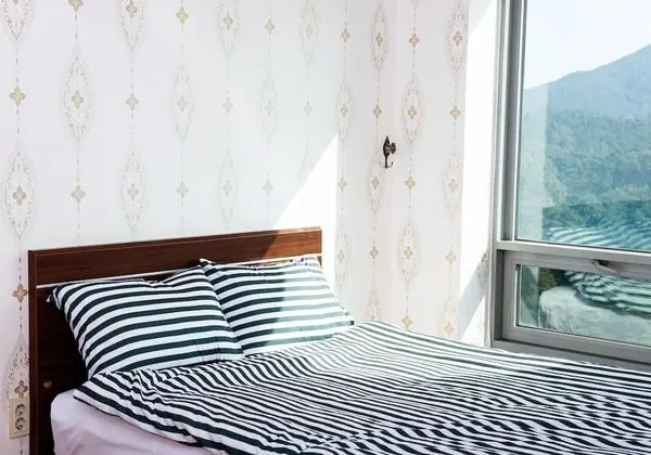 DOGO 30 Family Suite