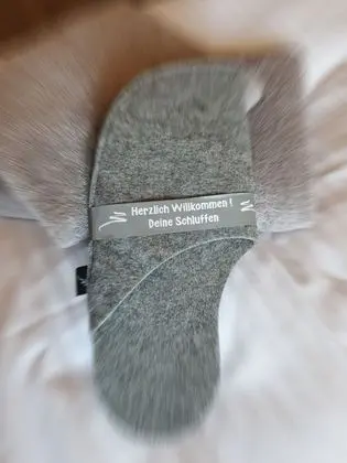 Executive Daire, 3 Yatak Odası (Gipfel Lodge, inkl. 85€ Reinigung)